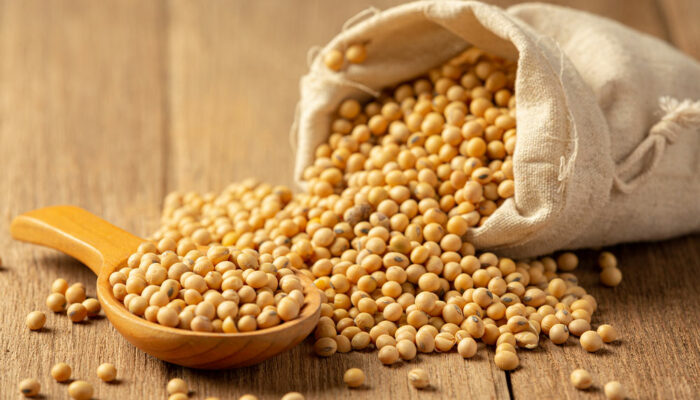 6 foods that trigger EoE symptoms